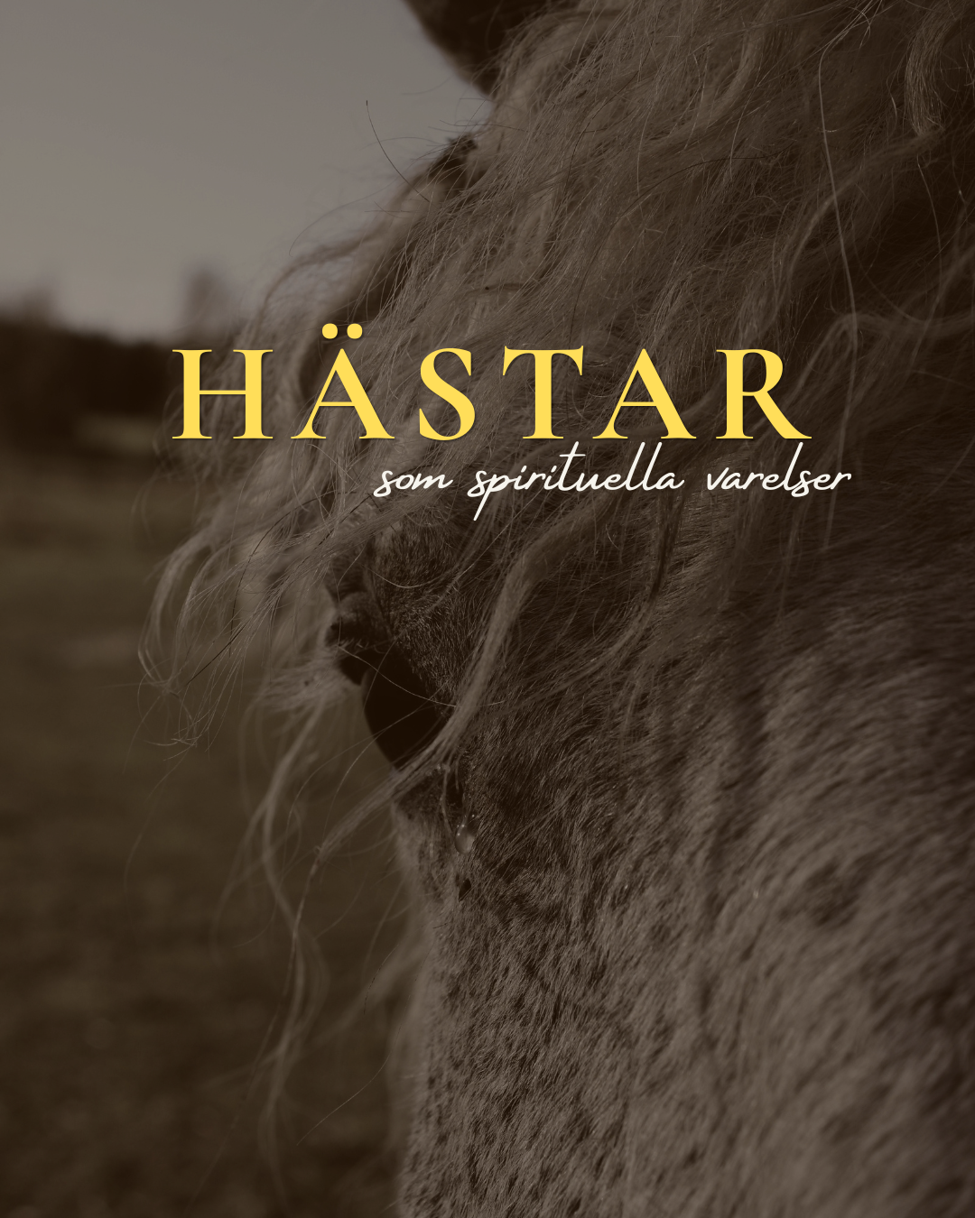 Hästar som spirituella varelser