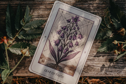 The Northern Lights Strength Deck