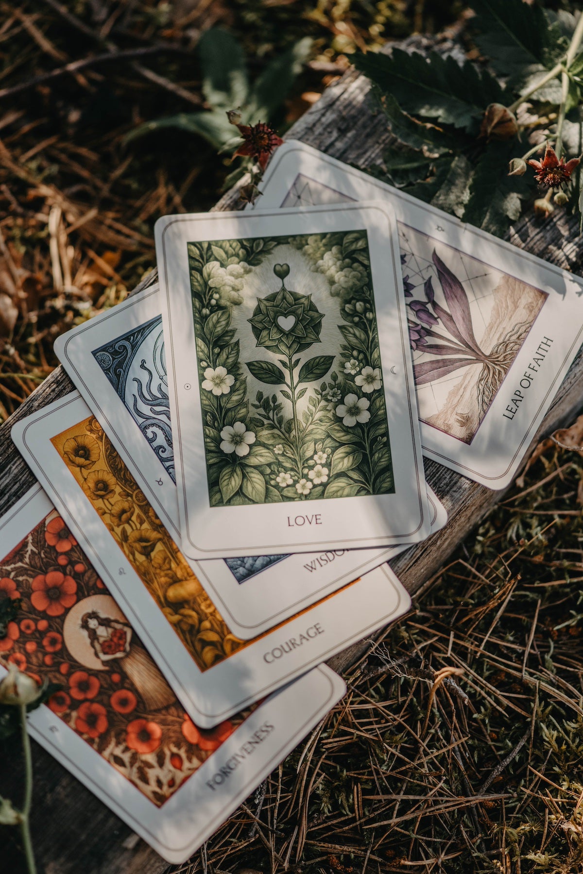 The Northern Lights Strength Deck – Gift Wrapped with Personal Message