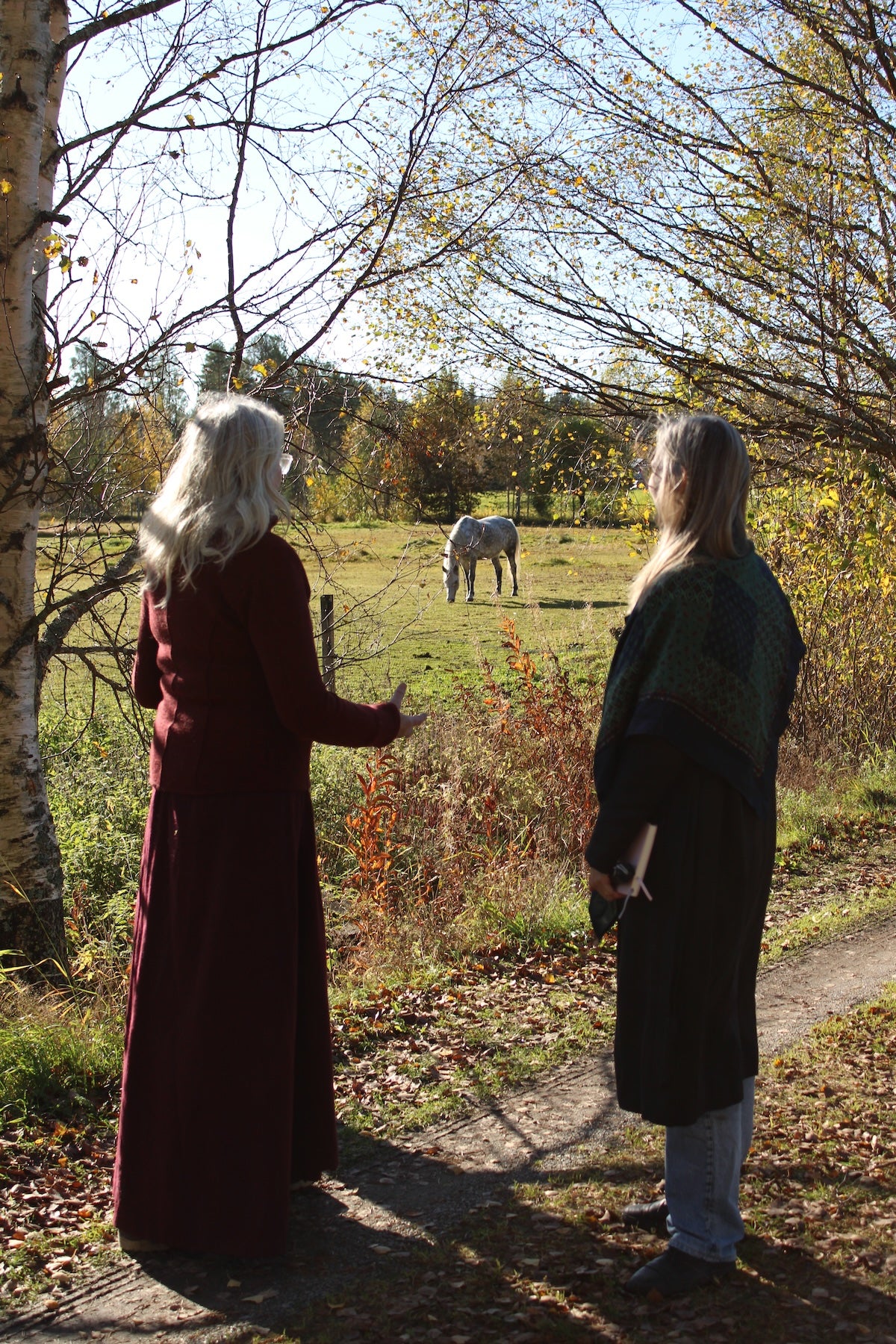 Hästar som spirituella varelser