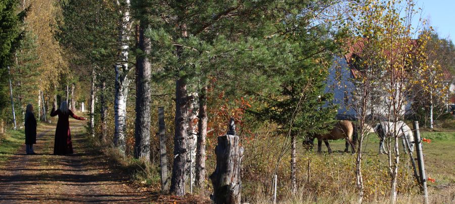 Hästar som spirituella varelser